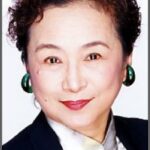 Nausicaä of the Valley of the Wind - Animation Voice Cast