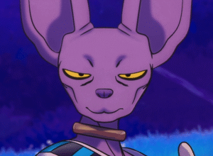 Beerus - Character from Dragon Ball Super: SUPER HERO