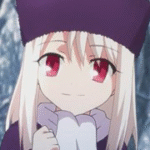Fate/Zero - Animation Voice Cast