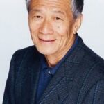 Nausicaä of the Valley of the Wind - Animation Voice Cast