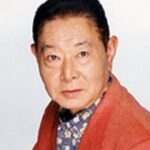 Persona 5 - Video Game Voice Cast