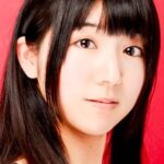 Mobile Suit Gundam: Cucuruz Doan’s Island - Animation Voice Cast