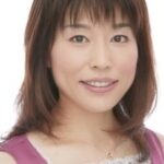 One Piece Film: Red - Animation Voice Cast