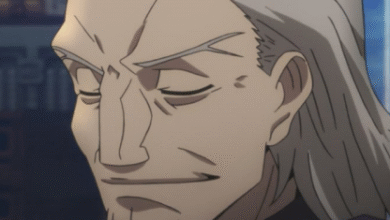 Risei Kotomine - Character from Fate/Zero