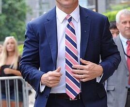 Tony Goldwyn - Voice Actor