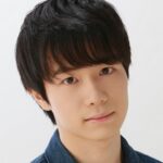 Lee Minsung - Character from Solo Leveling