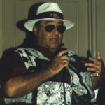 Brave Fencer Musashi - Video Game Voice Cast