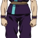 Hunter x Hunter - Animation Voice Cast