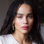 Spider-Man: Into the Spider-Verse - Animation Voice Cast