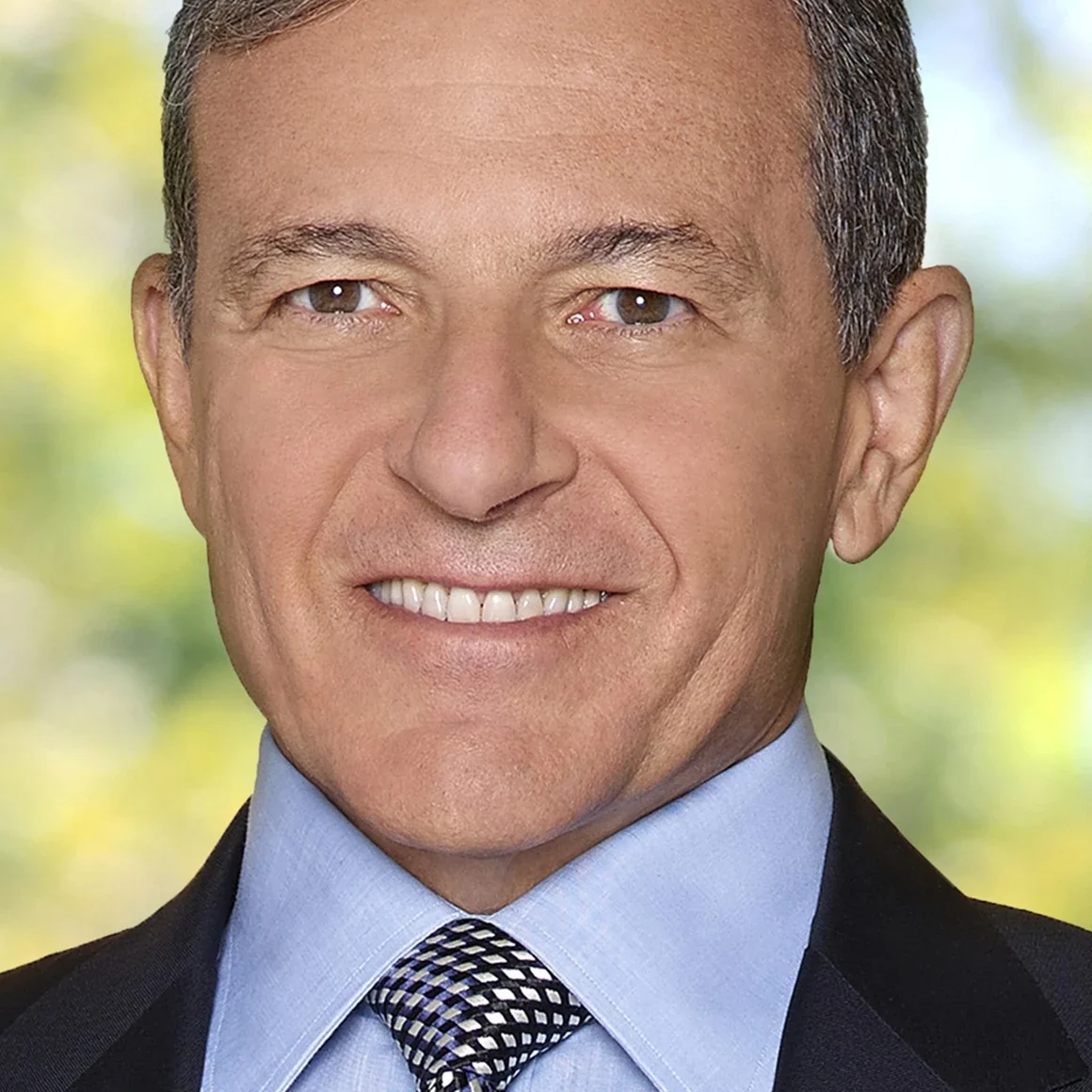Bob Iger voice actor profile