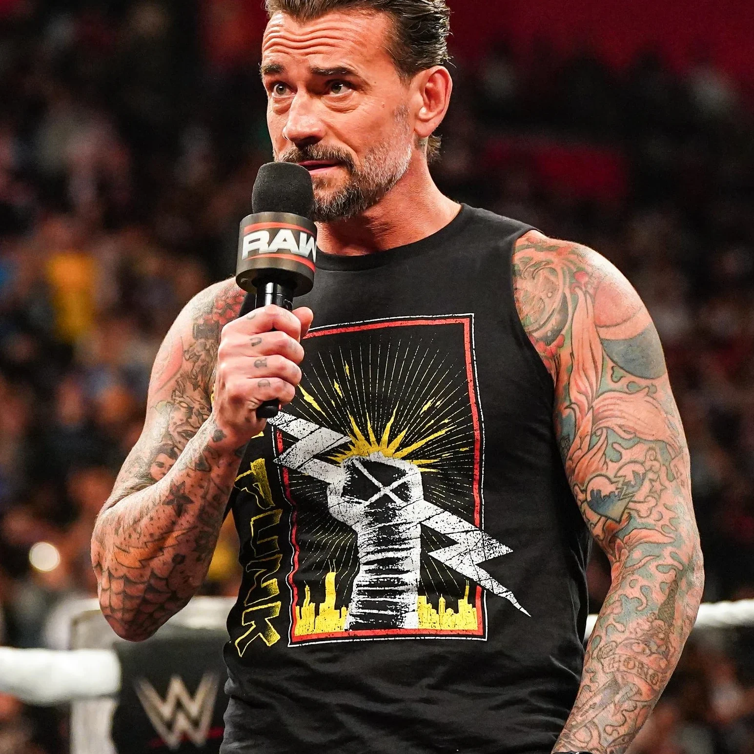 CM Punk voice actor profile