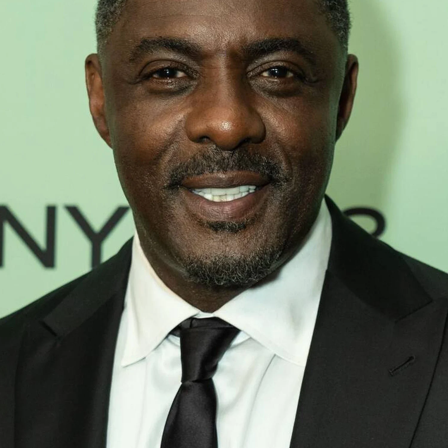 Idris Elba voice actor profile