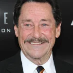 Optimus Prime - Character from Fortnite