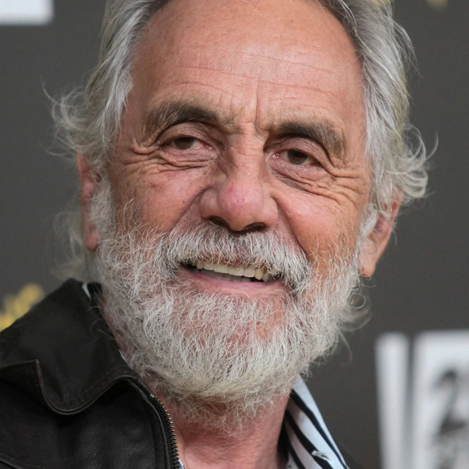 Tommy Chong voice actor profile