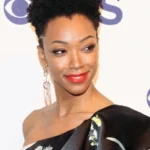 Invincible - Animation Voice Cast