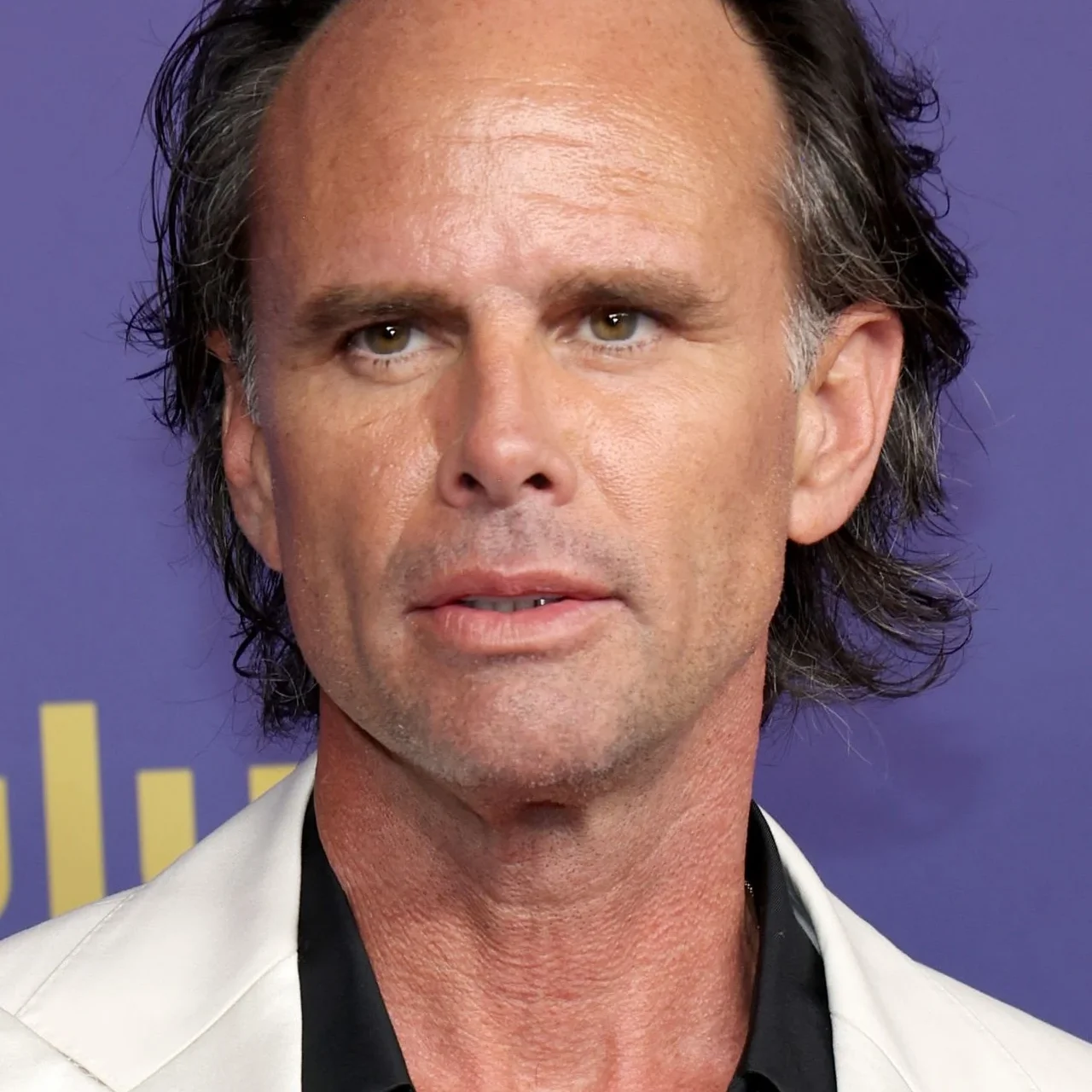 Walton Goggins voice actor profile