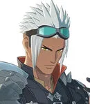 Monster Hunter Stories 3: Twisted Reflection - Video Game Voice Cast