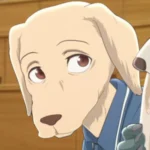 Beastars - Animation Voice Cast