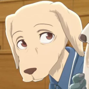 Jack - Character from Beastars