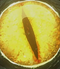 Uk’Otoa - Character from The Mighty Nein