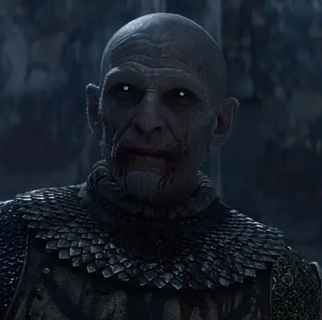 Brencis from The Blood of Dawnwalker