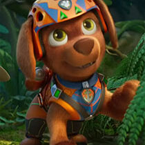 Zuma from PAW Patrol: The Dino Movie